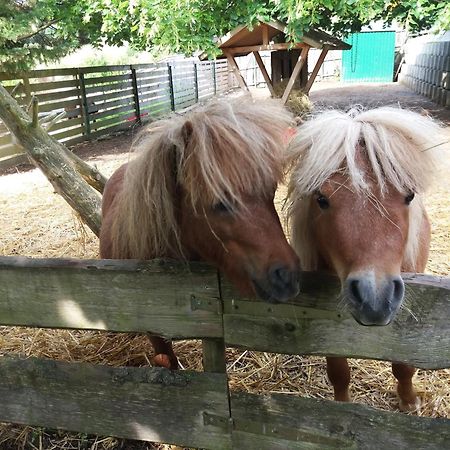 Ferienwohnung Am Hochrhoener Andenhausen Kültér fotó